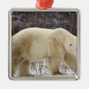 Recherche de churchill ornements Ours