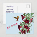 Recherche de colibris cartes postales Nature