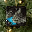 Search for tabby ornaments Grey