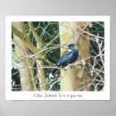 Search for tui posters New zealand