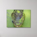 Recherche de inondation posters art Nature