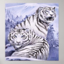 Search for white tiger art Snow