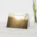 Search for grasses cards Meadow