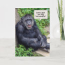Search for funny encouragement humor cards Monkey