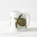 Recherche de tortue verte tasses Côtier