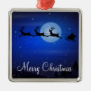 Search for outdoors ornaments Winter