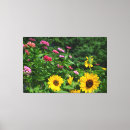 Search for pink daisy canvas prints Garden