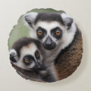 Search for lemur pillows Primate