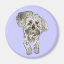 Recherche de le caniche standard magnets Animaux familiers