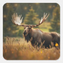 Search for moose in stickers Rustic