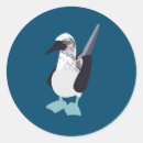 Search for sea bird stickers Animal