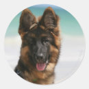 Recherche de deutscher autocollants Headshot