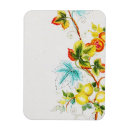 Search for pomegranate magnets Nature