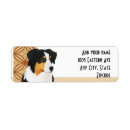 Search for australian shepherd return address labels Aussie