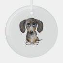 Search for wiener dog ornaments Animal
