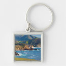 Search for sur keychains Bixby bridge