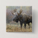 Recherche de tetons badges Pittoresque