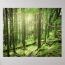 Search for killarney posters Landscape