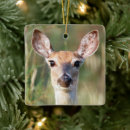 Search for whitetail deer ornaments Hunting
