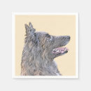 Recherche de belge serviettes Dog