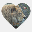 Recherche de cinq animaux autocollants Gros chats