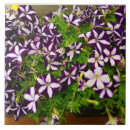 Recherche de rayures violettes carreaux Rayé