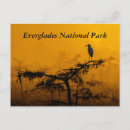 Recherche de conserves cartes postales Parc national