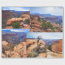 Search for colorado wrapping paper Usa