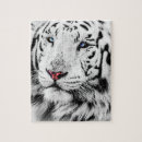 Recherche de tigre blanc puzzles Rayures