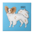 Recherche de dessin papillon carreaux Animal
