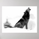 Search for timber wolf posters Nature