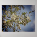 Recherche de arbre fleurissant posters Mother