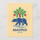 Search for bullfighter postcards Madrid