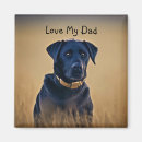 Search for black lab magnets Pets