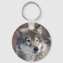 Search for predator keychains Wolf