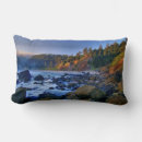 Search for oregon pillows Pacific northwest