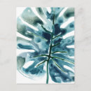 Search for tropical greenery postcards Jungle