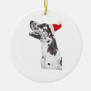 Recherche de great dane ornements Chien