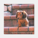 Search for going out magnets Vertical
