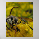 Search for bugs posters Wasp