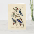 Search for blue mountain cards Picture
