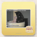 Search for rules coasters I can has cheezburger