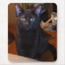 Search for cute cat mousepads Kittens