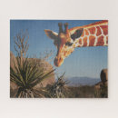 Search for joshua tree puzzles National park