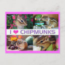 Search for chipmunk postcards Pet
