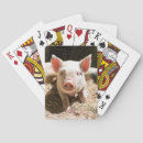 Search for baby pig playing cards Piglet