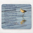 Search for sandpipers electronics Nature
