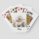 Recherche de chiens jeux de cartes Amusant