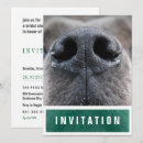 Recherche de nez invitations Dogue allemand
