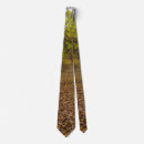 Search for path ties Trees
